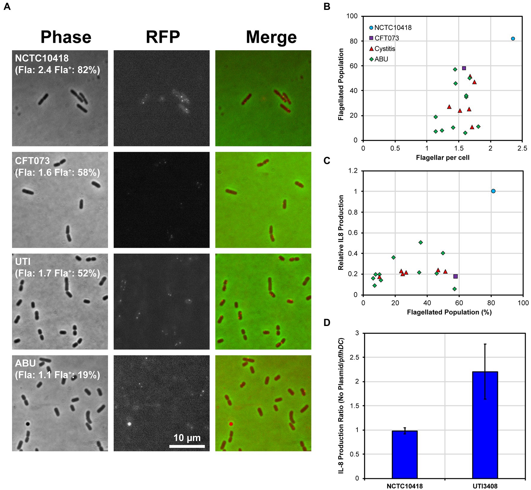 Frontiers Evasion of tolllike receptor recognition by Escherichia
