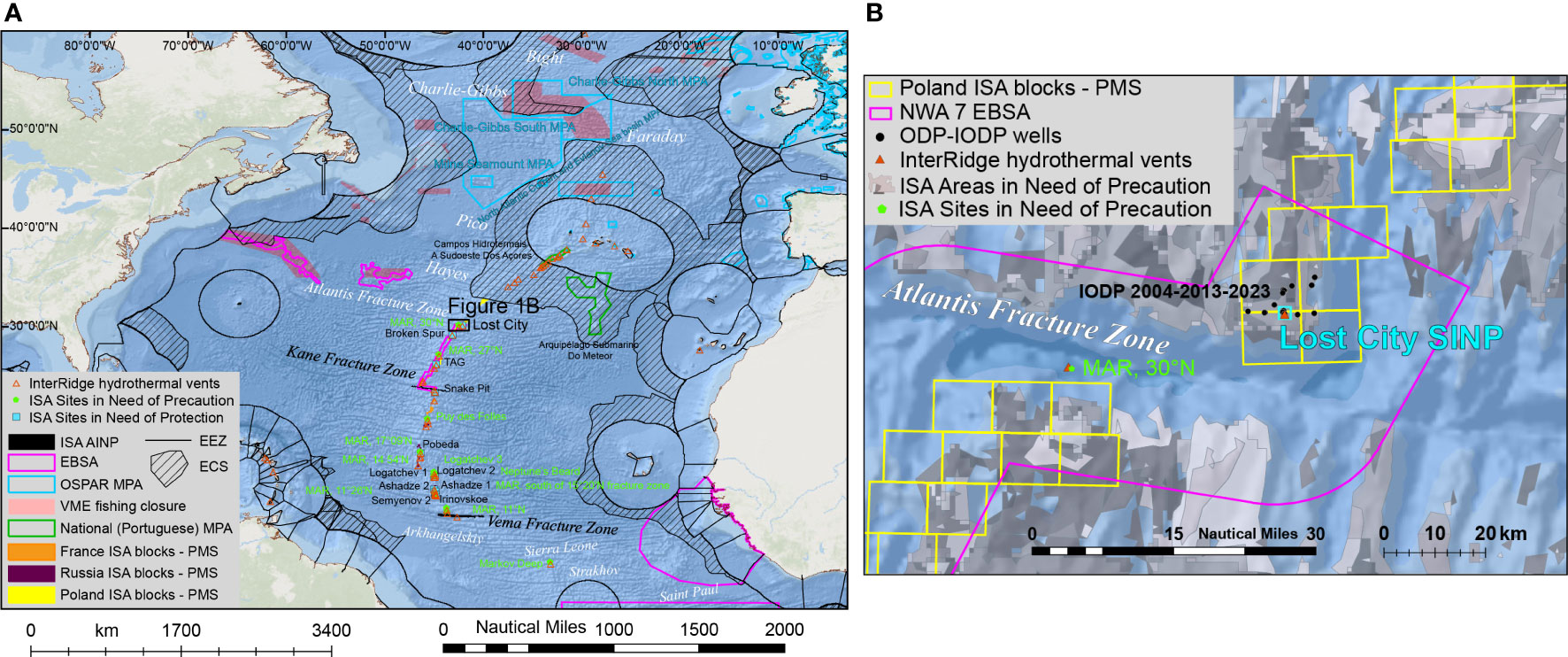 Frontiers | Overlapping and fragmentation in the protection and