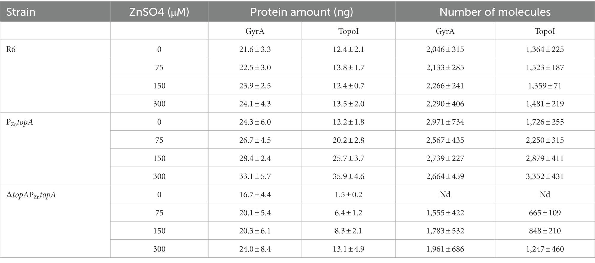 Frontiers | The balance between gyrase and topoisomerase I activities ...