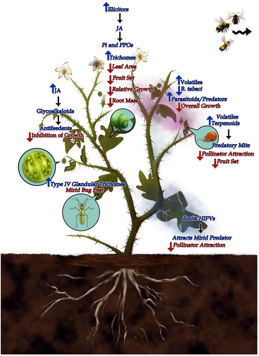 Full article: Plant Volatiles: Recent Advances and Future Perspectives