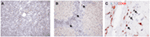 www.frontiersin.org