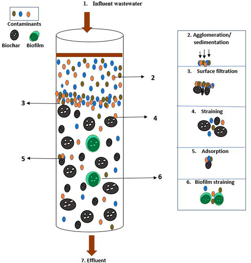 Frontiers | Biochar as a novel technology for treatment of onsite