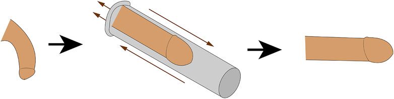www.frontiersin.org