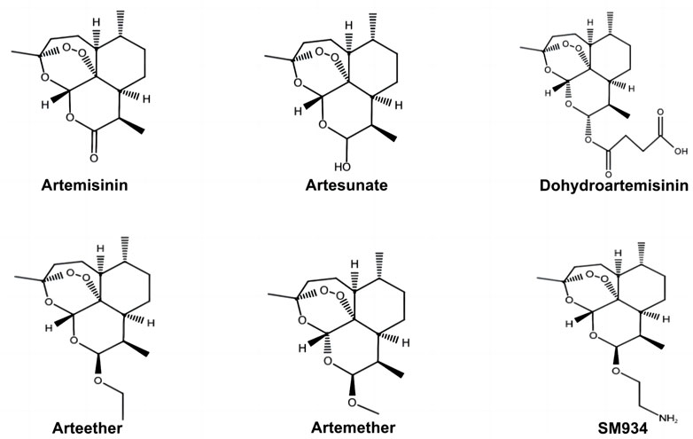 Frontiers | Therapeutic potential of artemisinin and its 