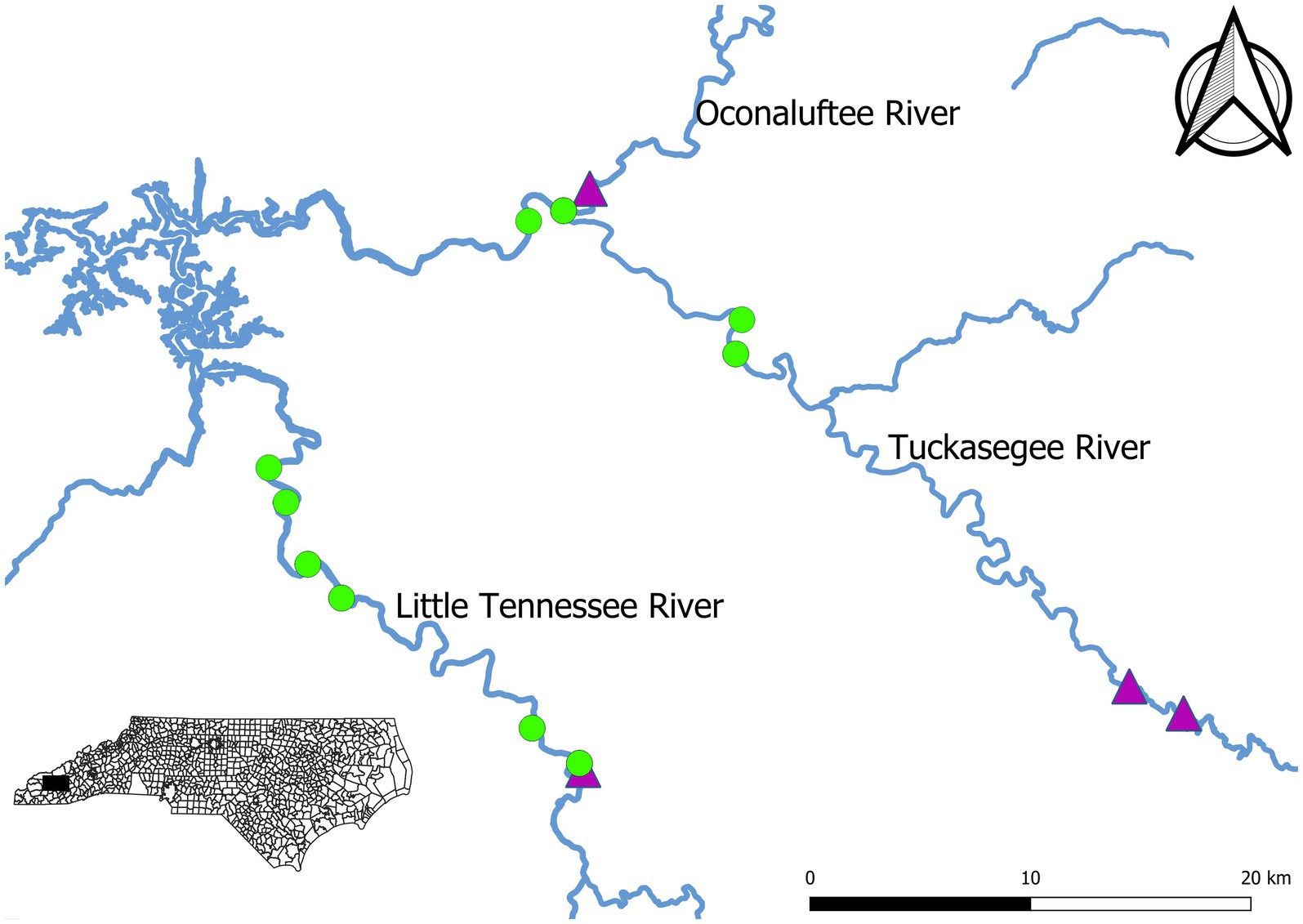 Frontiers | State-space models to describe survival of an endemic