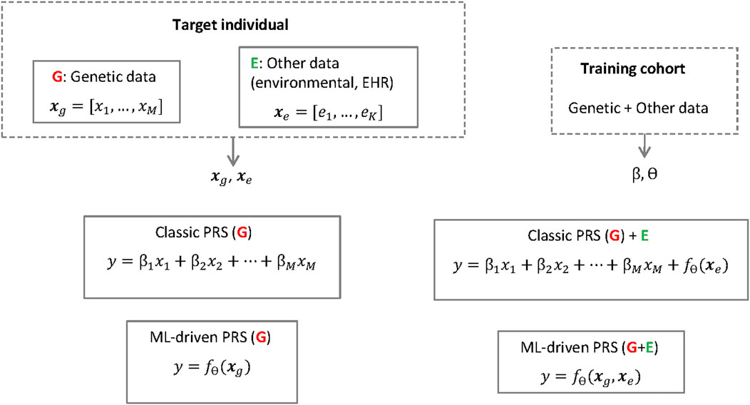 Frontiers  Ethical layering in AI-driven polygenic risk scores—New  complexities, new challenges
