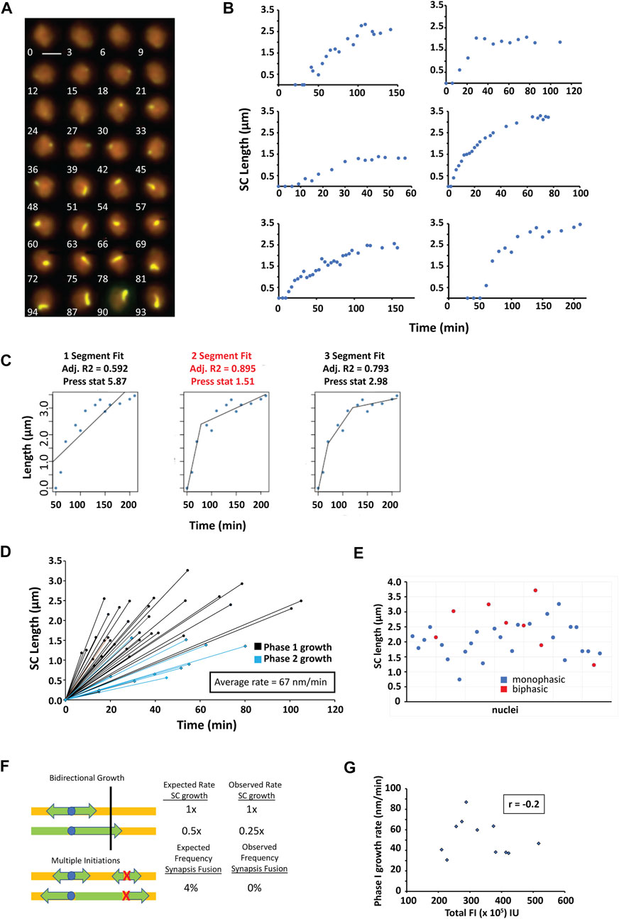 Human Kinetics on X: This is just one of the mat work complete