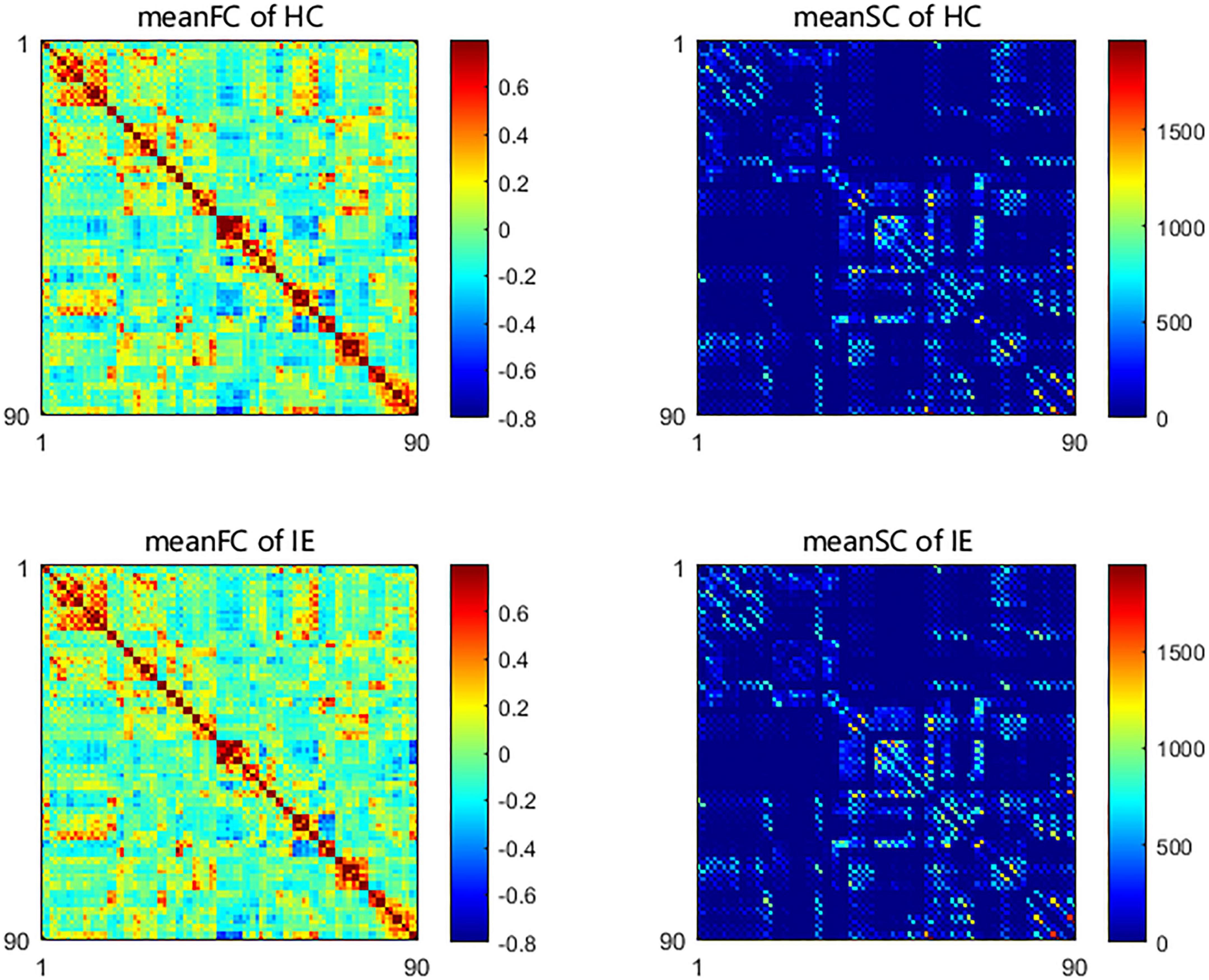 Altered brain structural and functional connectivity in cannabis users