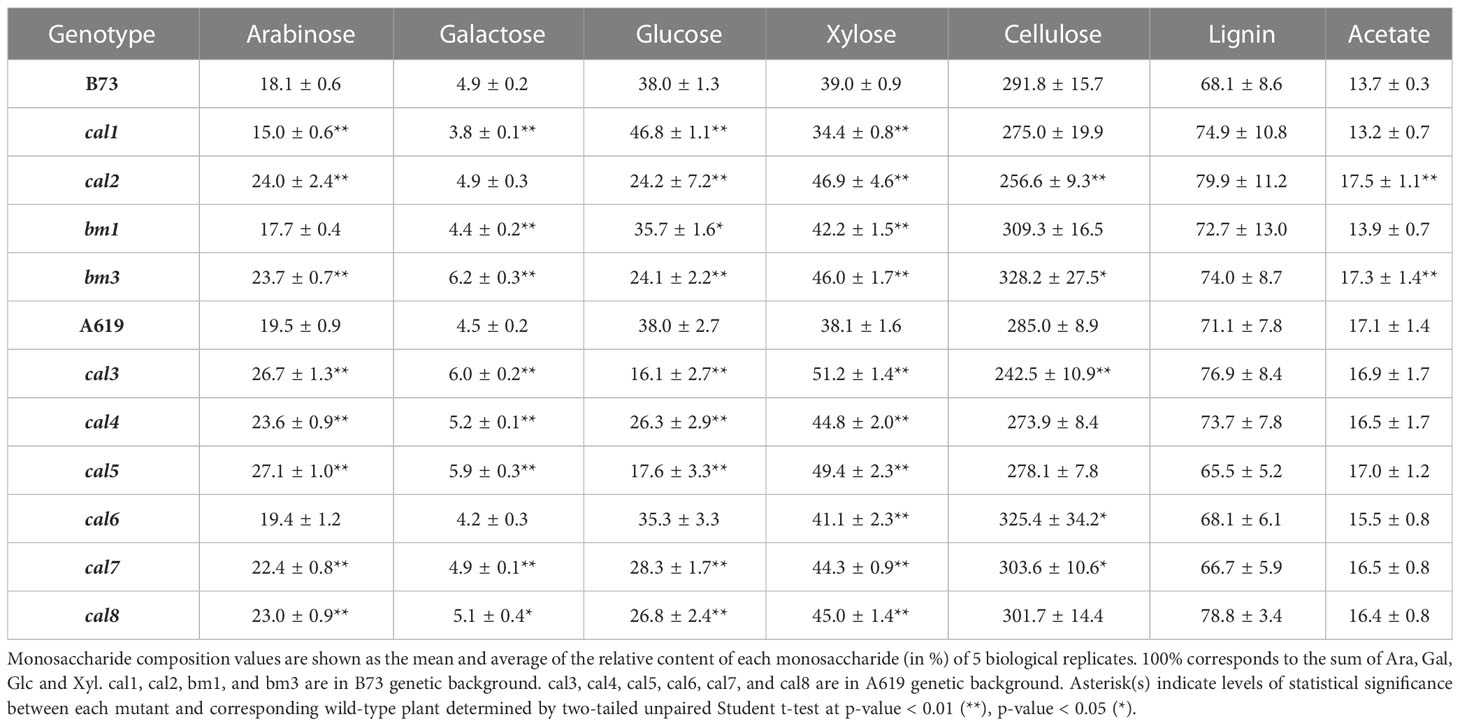 Frontiers | A large-scale forward genetic screen for maize mutants with ...