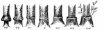 www.frontiersin.org
