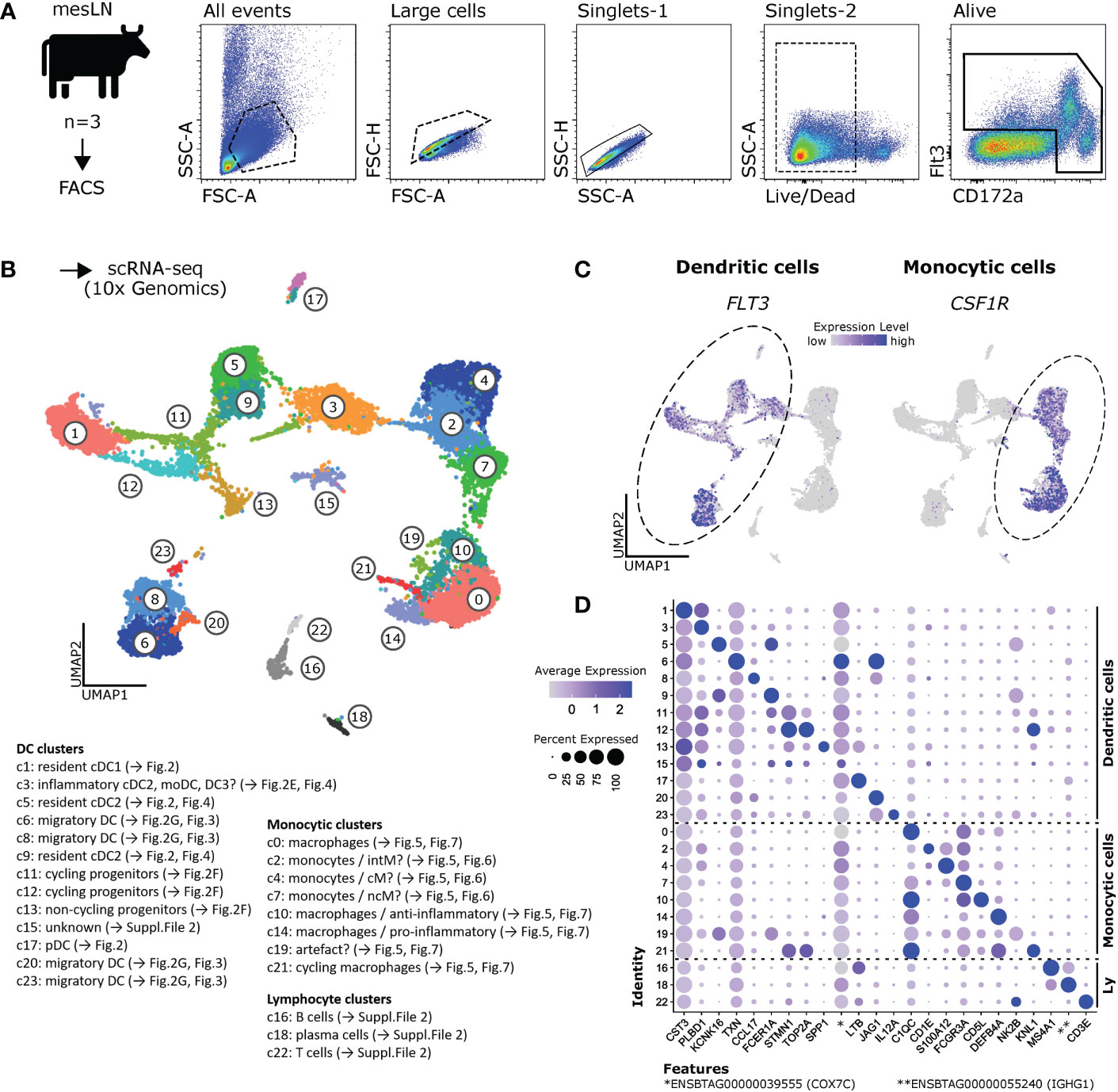 Frontiers  Single-cell detection of primary transcripts, their