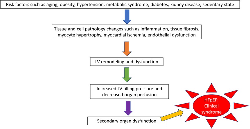 4.5 A Simple Approach to Diastolic Dysfunction