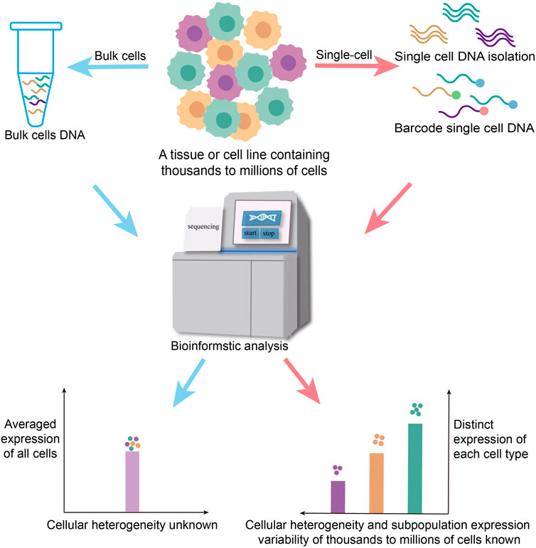 Single-Cell Proteomics with Spatial Attributes: Tools and Techniques