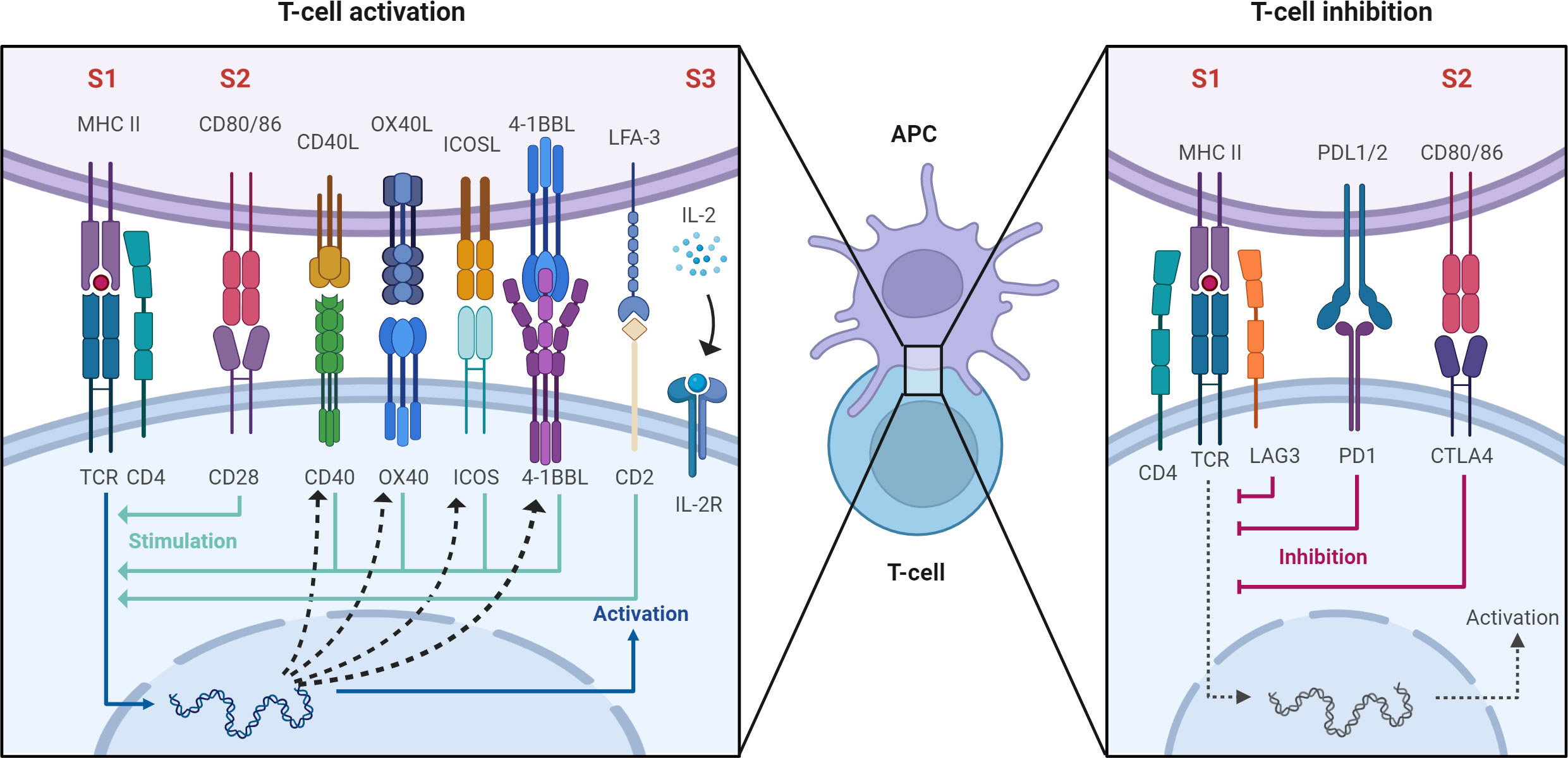 Antigen Select: Enteric Select – Lake Immunogenics