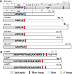 www.frontiersin.org