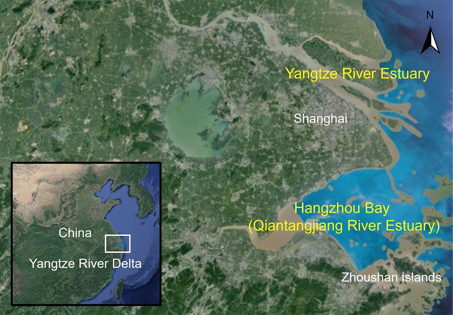 yangtze river delta