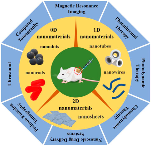 Smart Nanomaterials in Cancer Theranostics: Challenges and Opportunities