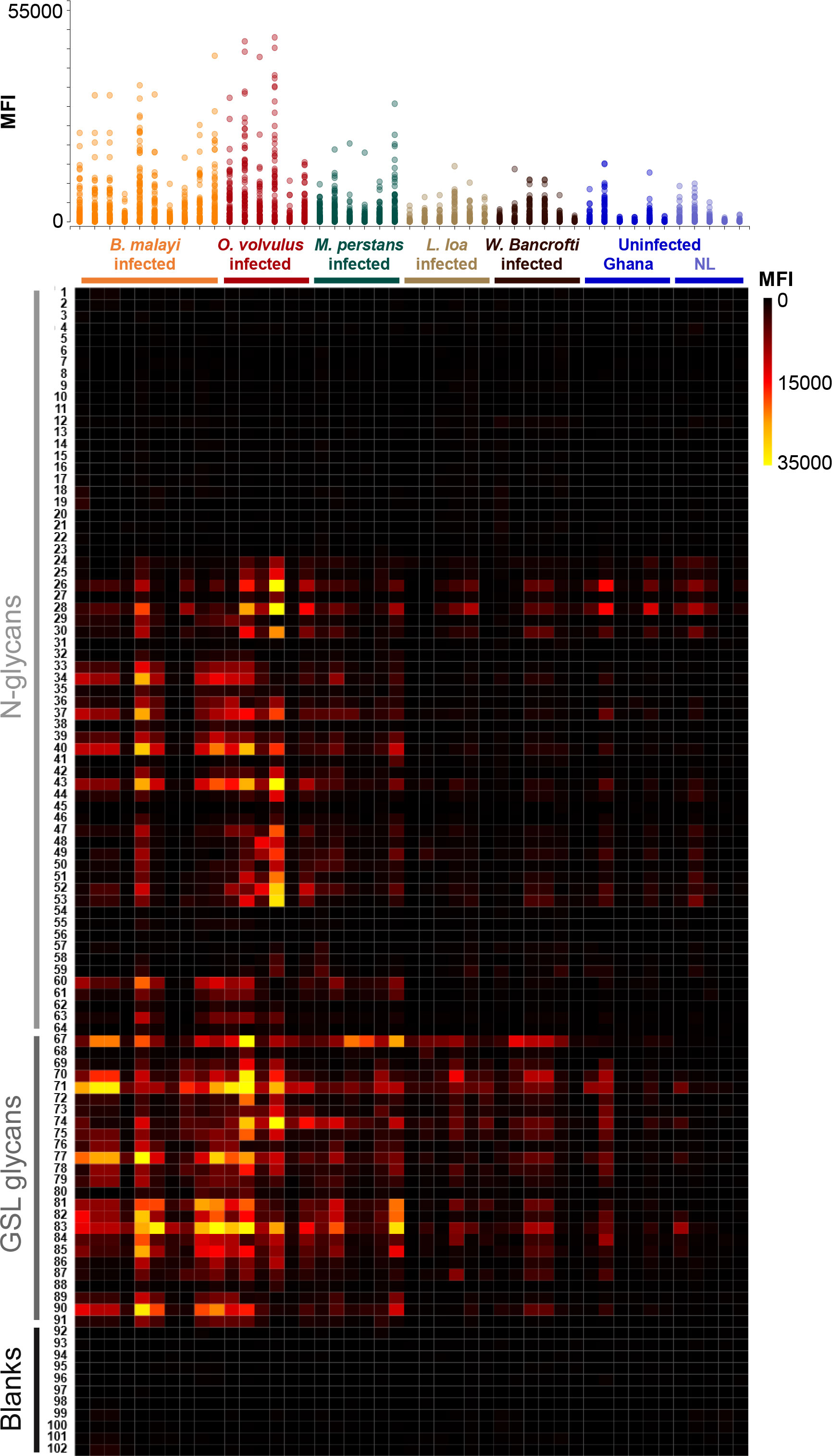 Frontiers  Unraveling cross-reactivity of anti-glycan IgG