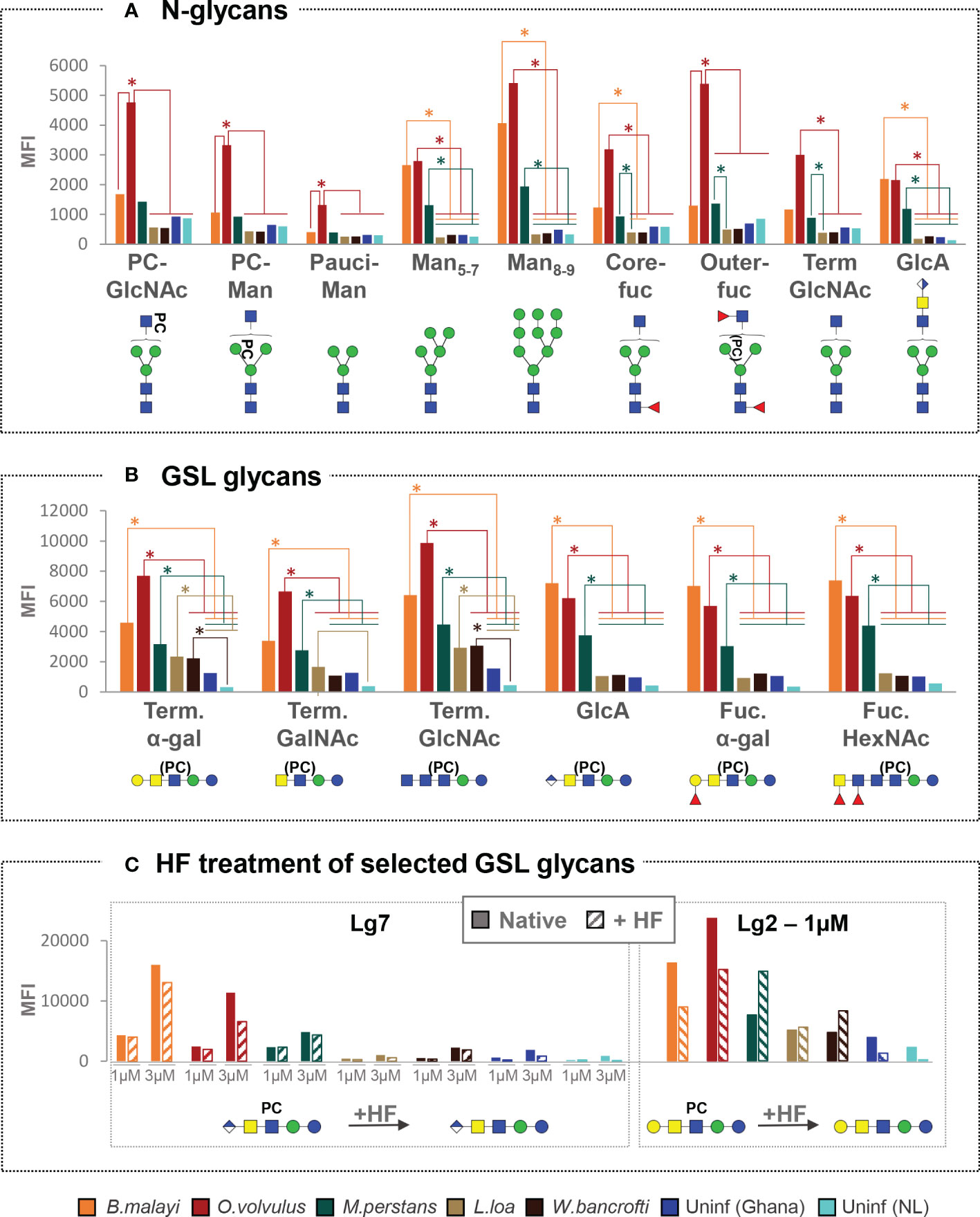 Frontiers  Anti-schistosomal immunity to core xylose/fucose in N