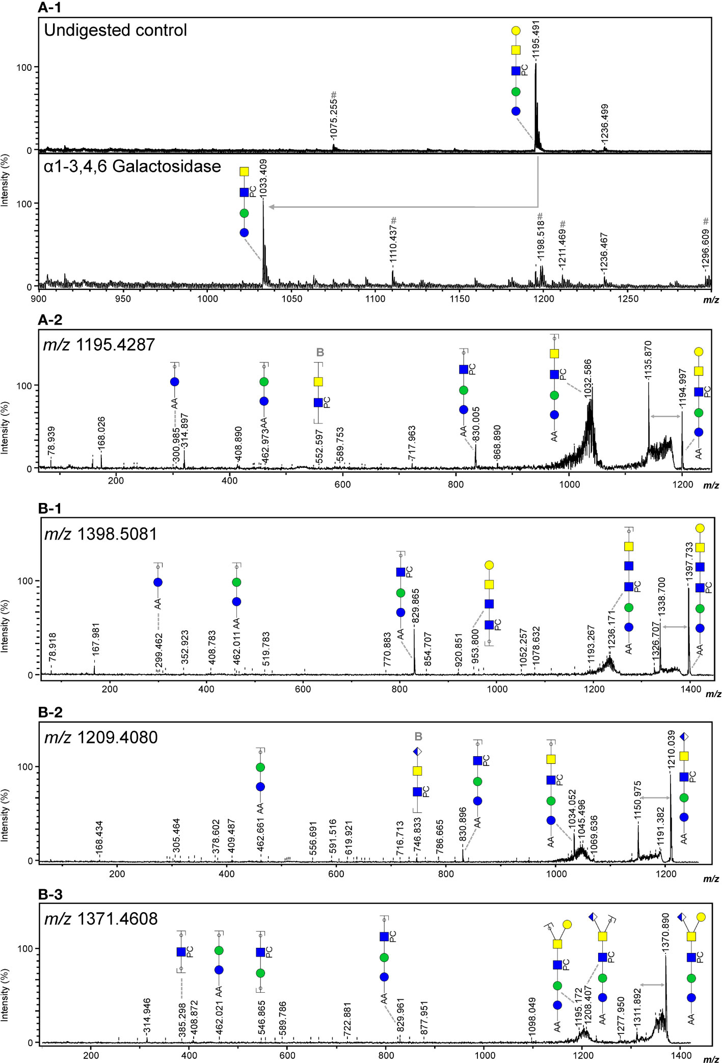 Frontiers  Unraveling cross-reactivity of anti-glycan IgG