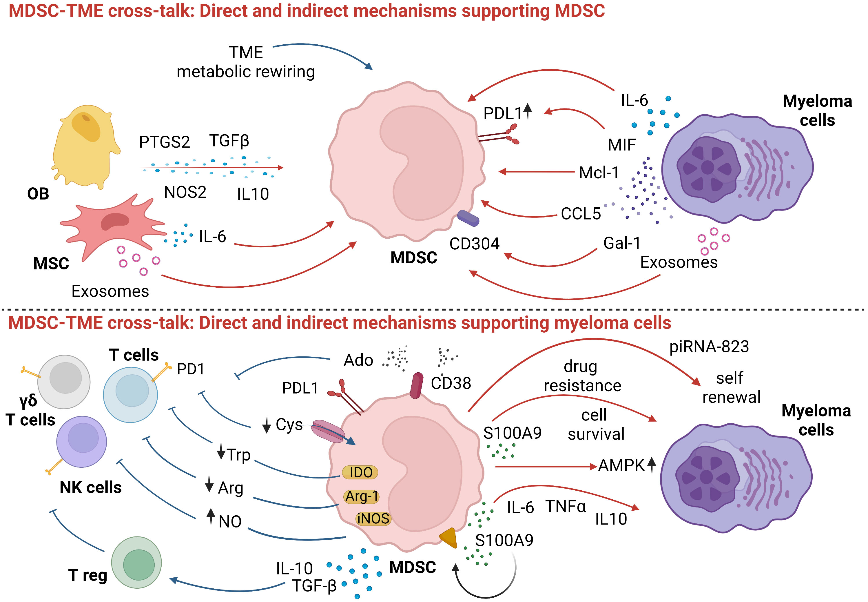 Full article: Epigenetic treatment of multiple myeloma mediates tumor  intrinsic and extrinsic immunomodulatory effects