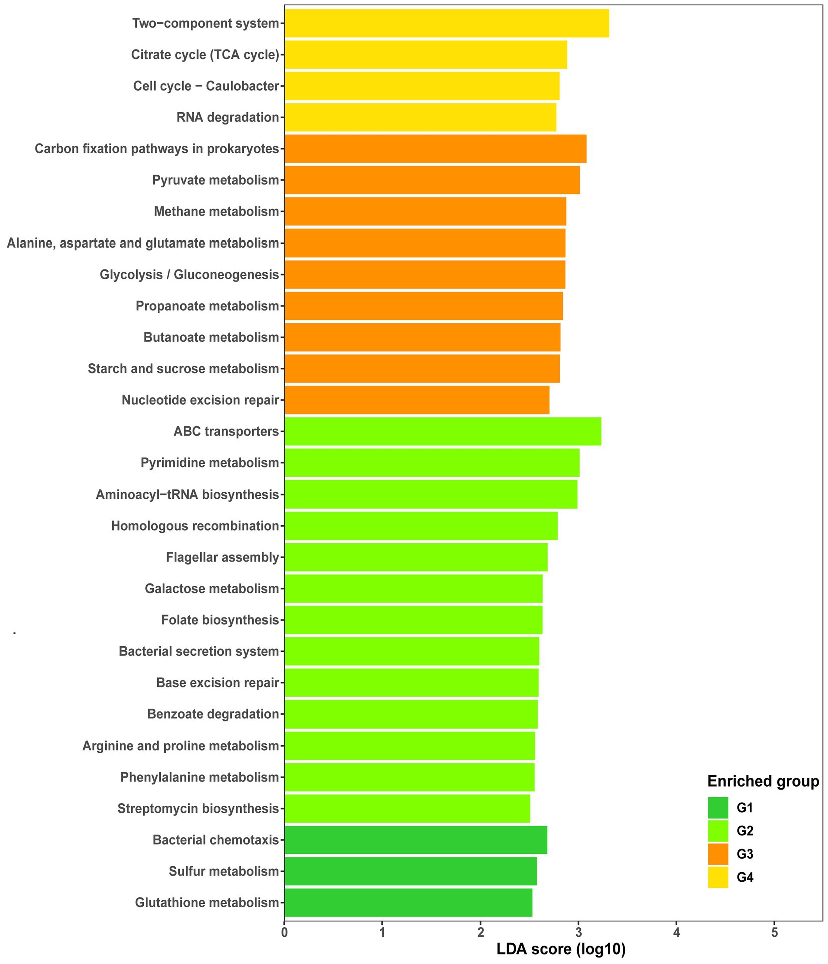 Frontiers | Comparative metagenomic analysis reveals