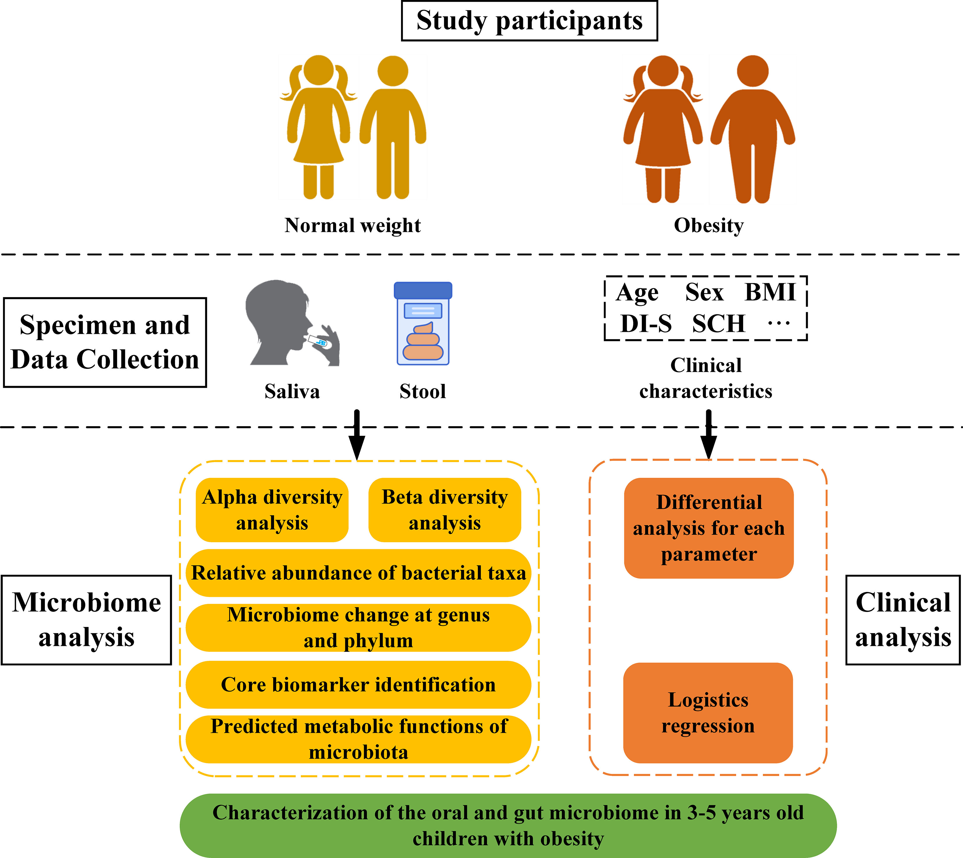 Interrelationship Between Gut Microbiota Composition Metabolic Profile 