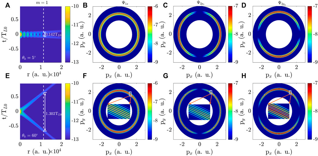 Physicists stored data in quantum holograms made of twisted light