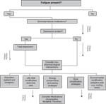 www.frontiersin.org