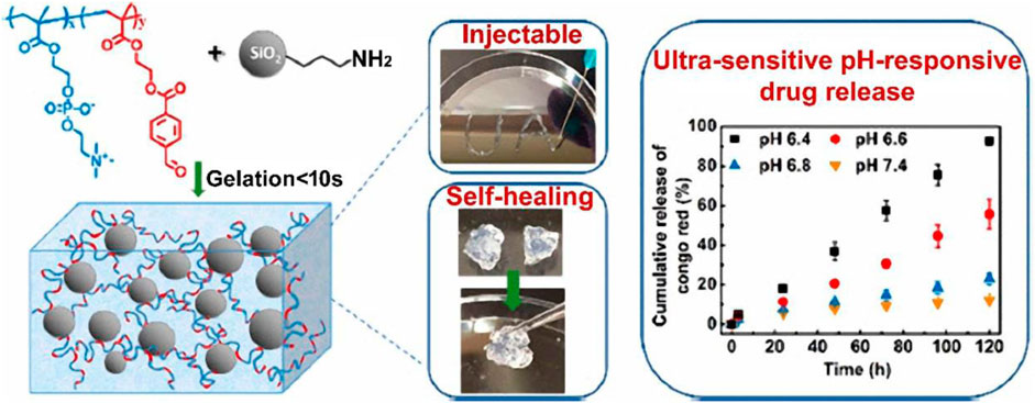 Frontiers  Smart stimuli-responsive injectable gels and hydrogels for drug  delivery and tissue engineering applications: A review