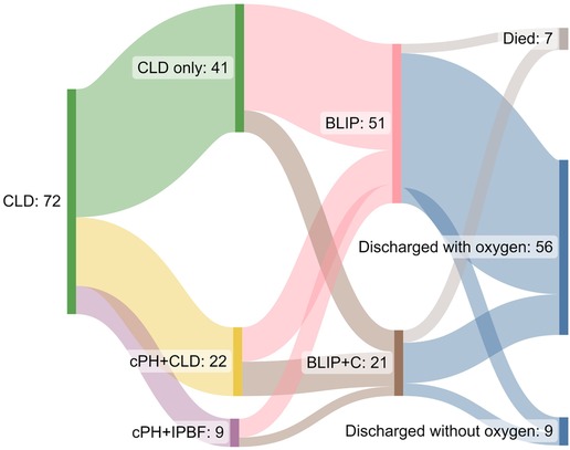 Frontiers Targeted neonatal echocardiography and lung ultrasound