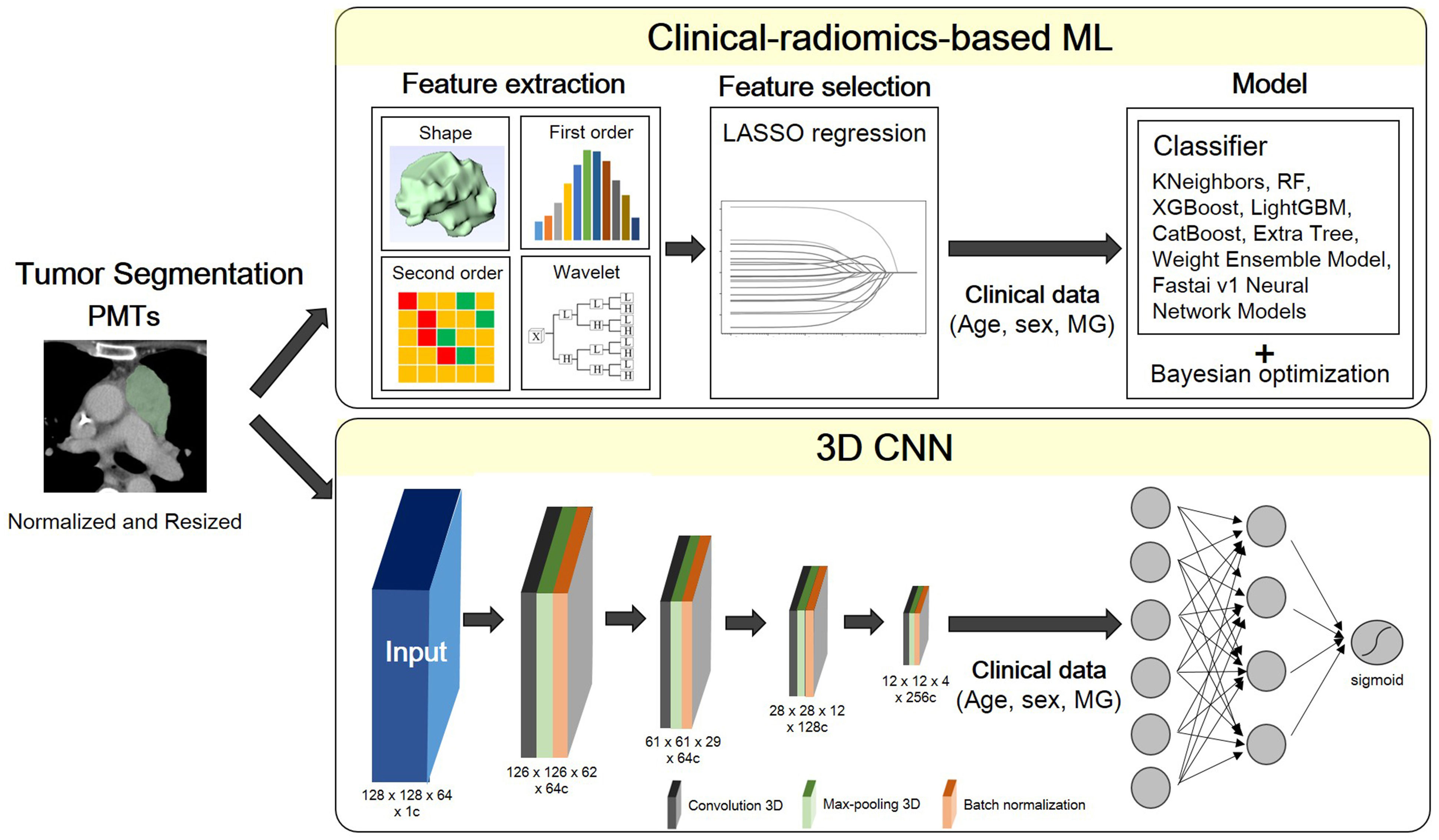 Clinical radiomicsbased machine learning versus threedimension