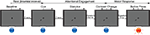 www.frontiersin.org