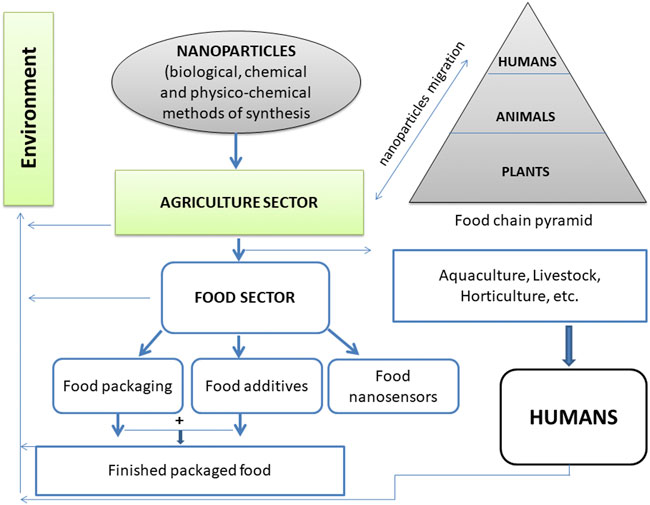 Frontiers | The strategic applications of natural polymer 