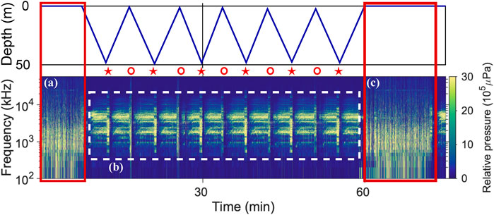 Color online) Temperature dependence of the hyperr sonic velocity