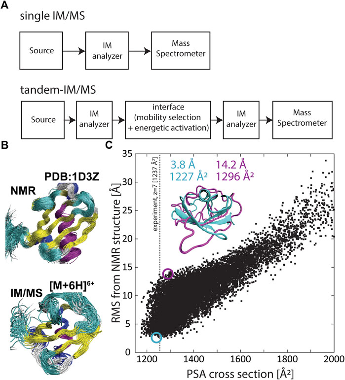 Ion Mobility Mass Spectrometry (IM-MS) for Structural Biology: Insights  Gained by Measuring Mass, Charge, and Collision Cross Section