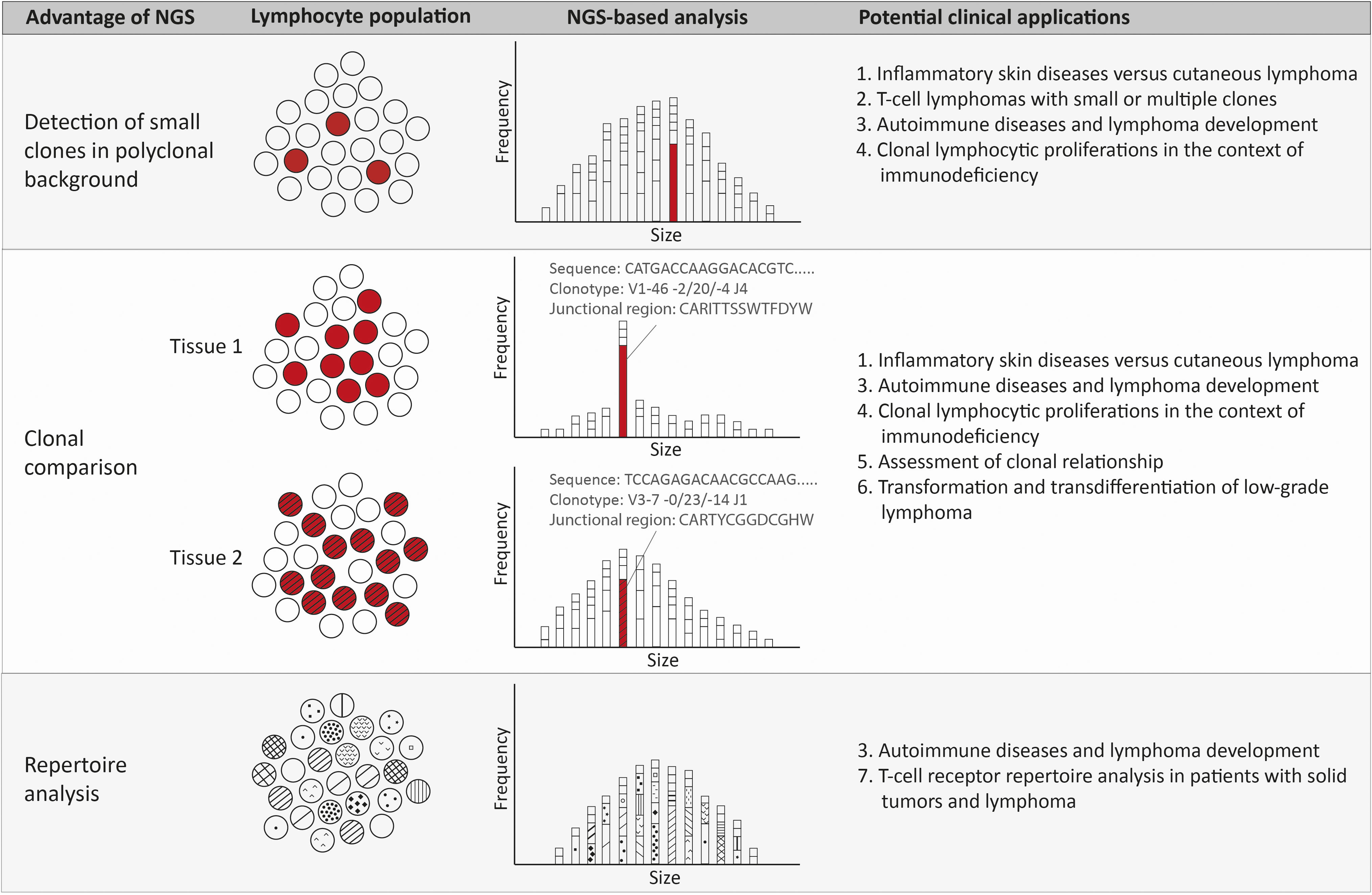 Frontiers | Read the clonotype: Next-generation sequencing