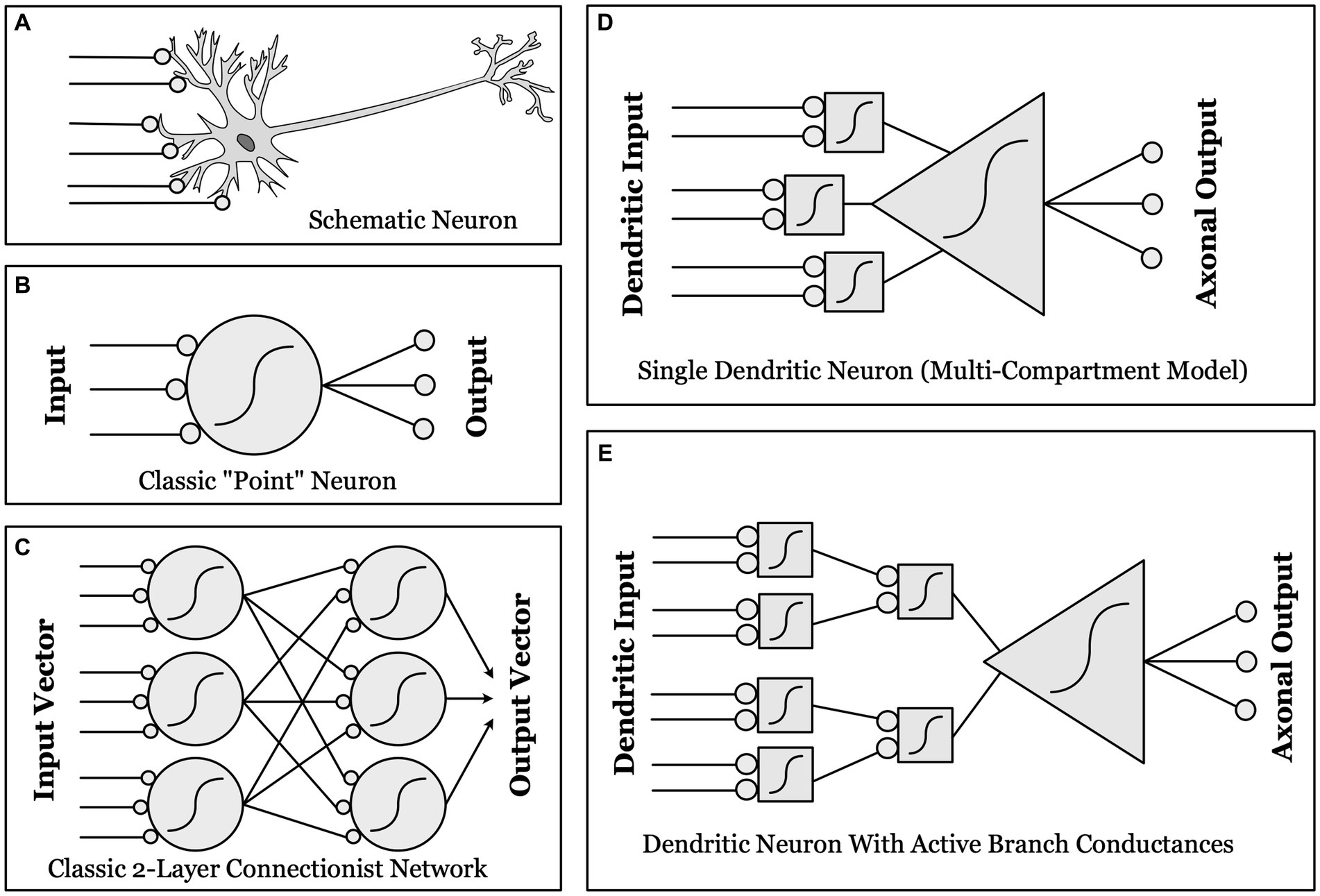 Global organization of neuronal activity only requires unstructured local  connectivity