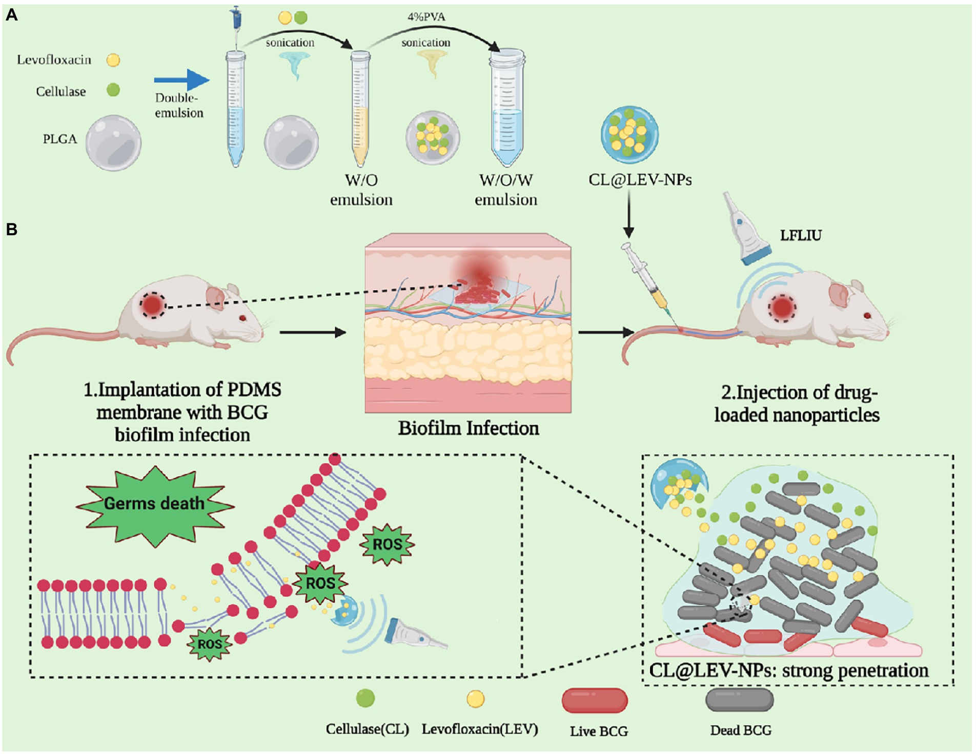 Nanoparticles for Oral Biofilm Treatments