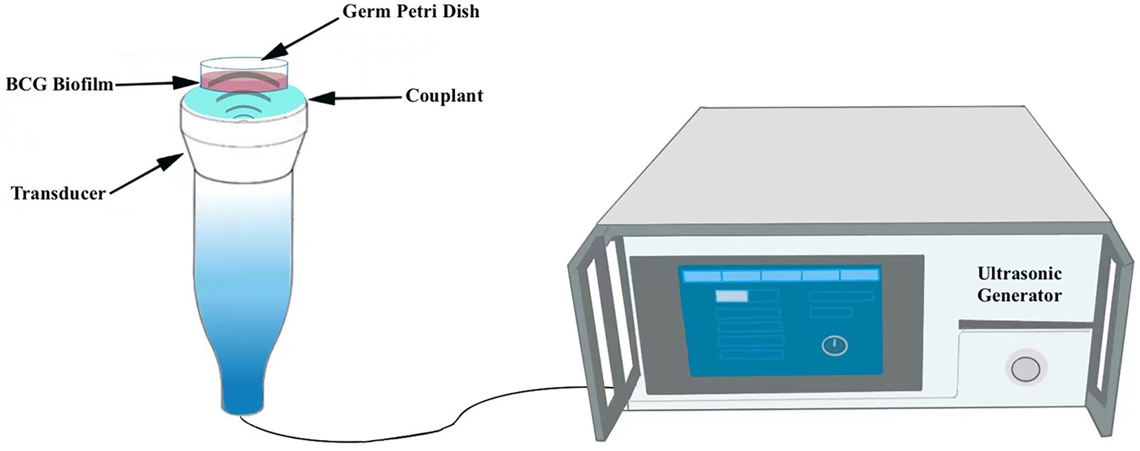 www.frontiersin.org
