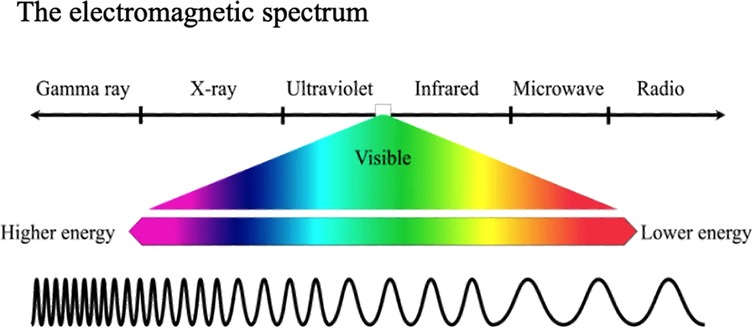 Figure 2 from Light-curing considerations for resin-based