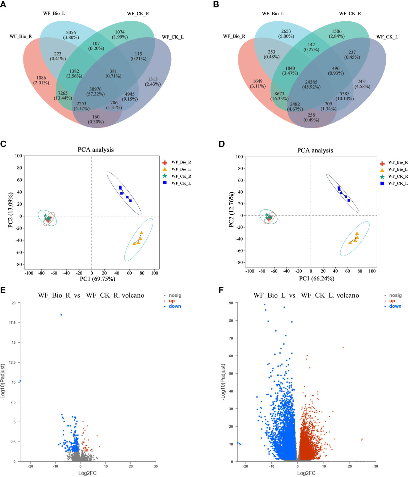 Frontiers | Transcriptome-based analysis of the effects of 