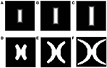 www.frontiersin.org