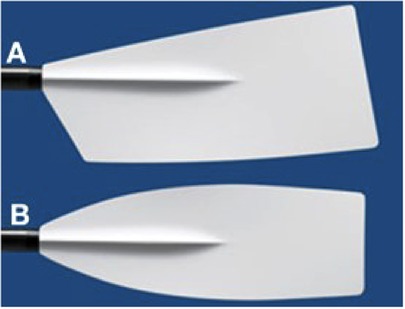 www.frontiersin.org