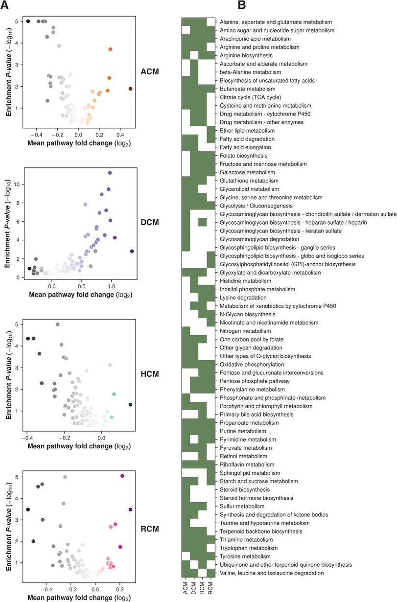 Frontiers  Transcriptome data analysis of primary cardiomyopathies reveals  perturbations in arachidonic acid metabolism