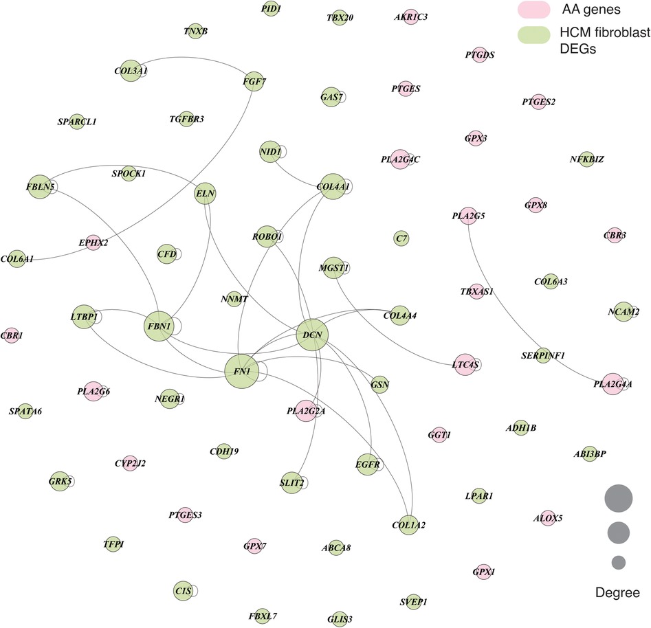 Frontiers  Transcriptome data analysis of primary cardiomyopathies reveals  perturbations in arachidonic acid metabolism