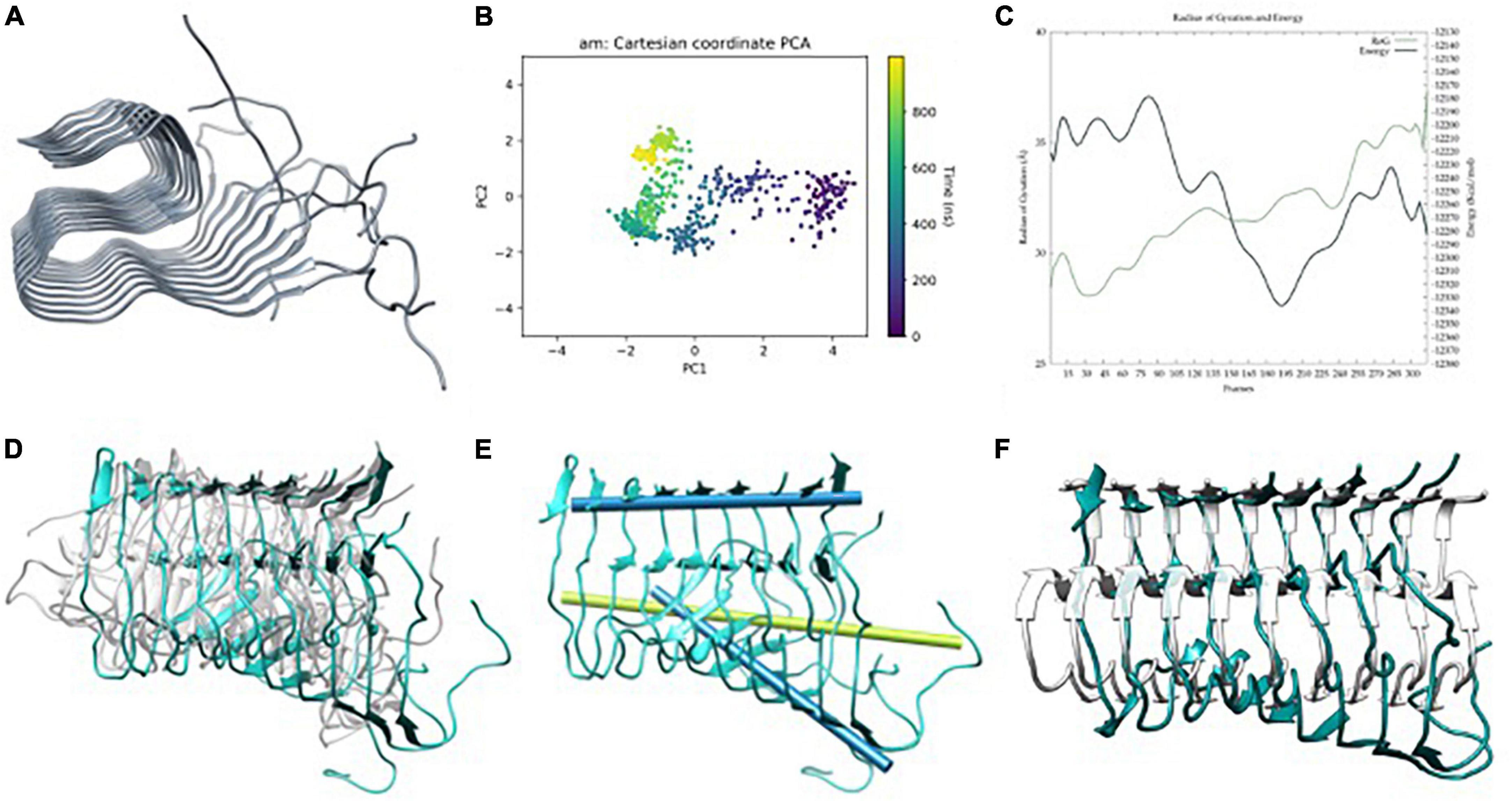 Frontiers  General Principles Underpinning Amyloid Structure