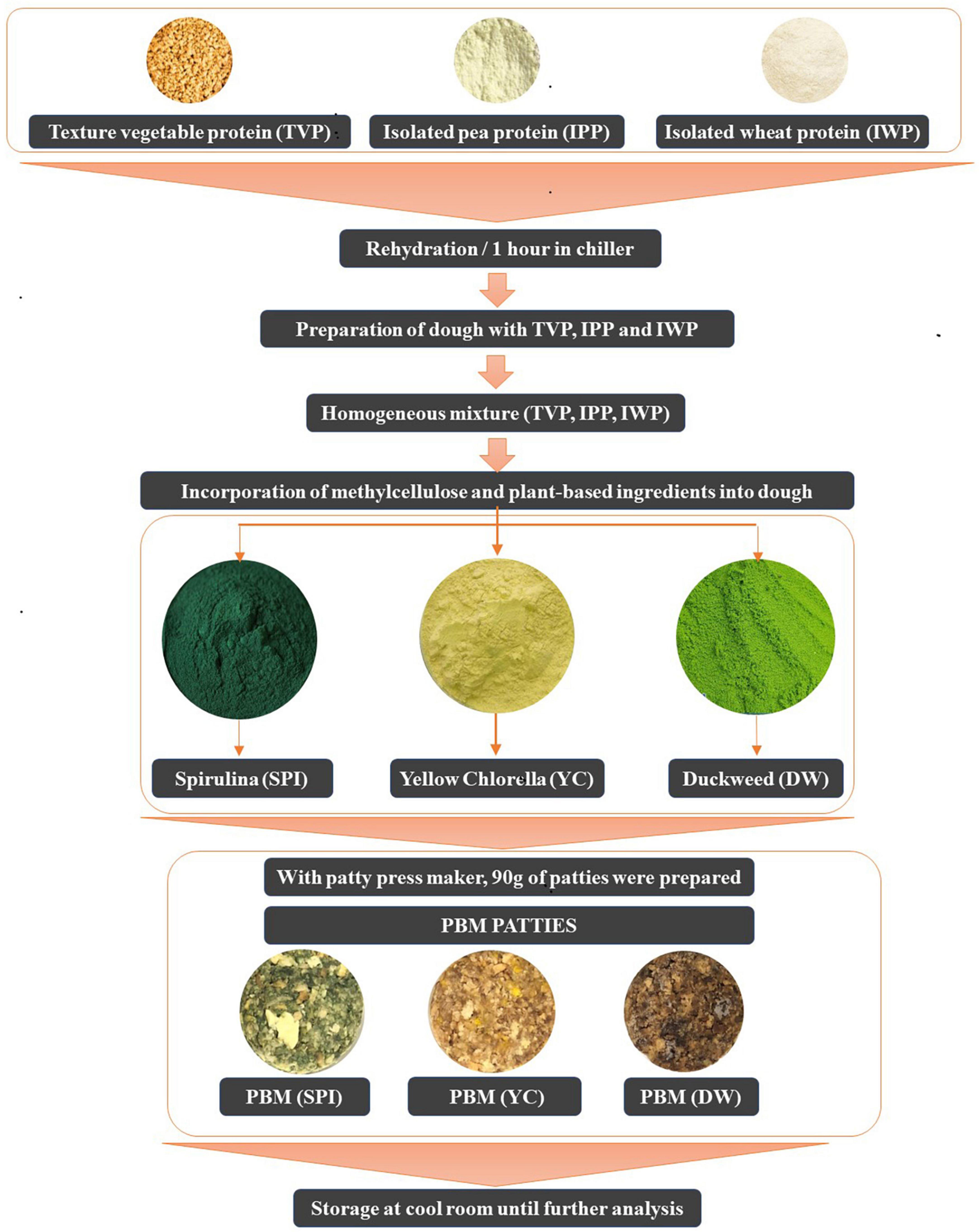 Plant-based protein-An alternative approach to food - Spire Research and  Consulting