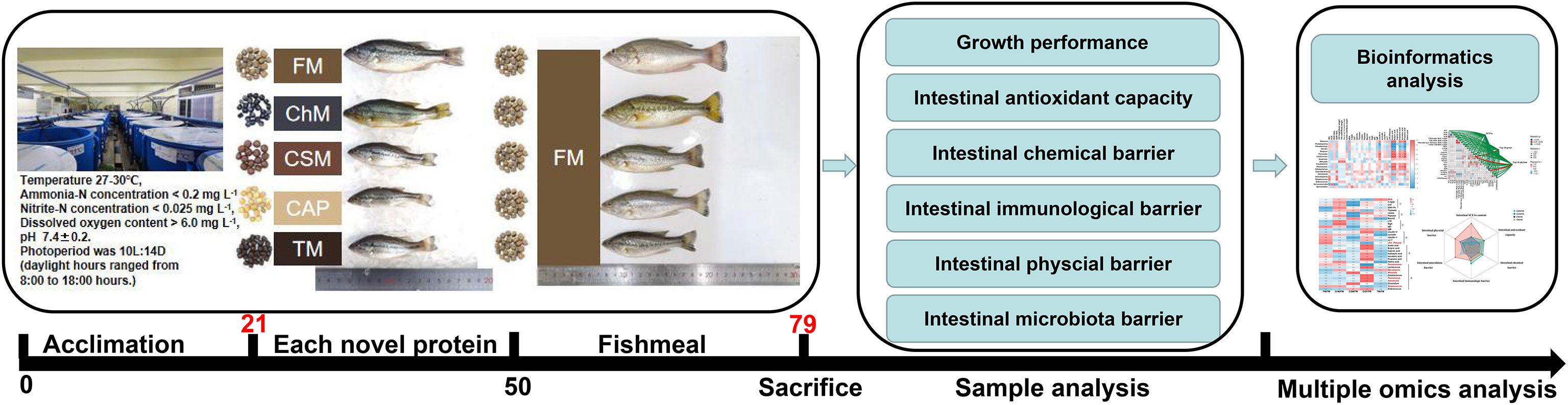 www.frontiersin.org