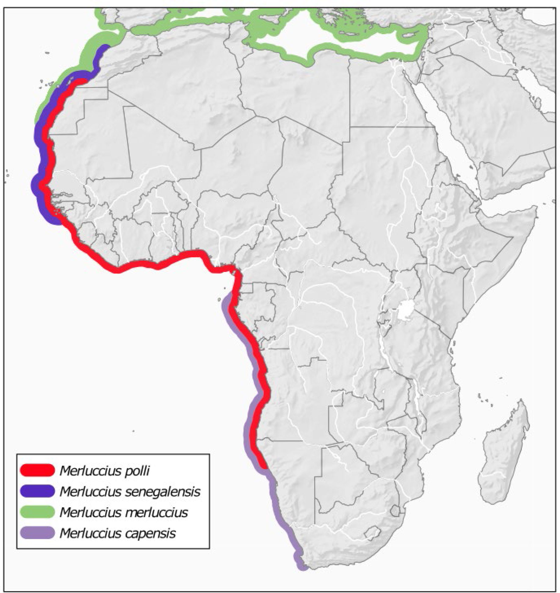 www.frontiersin.org
